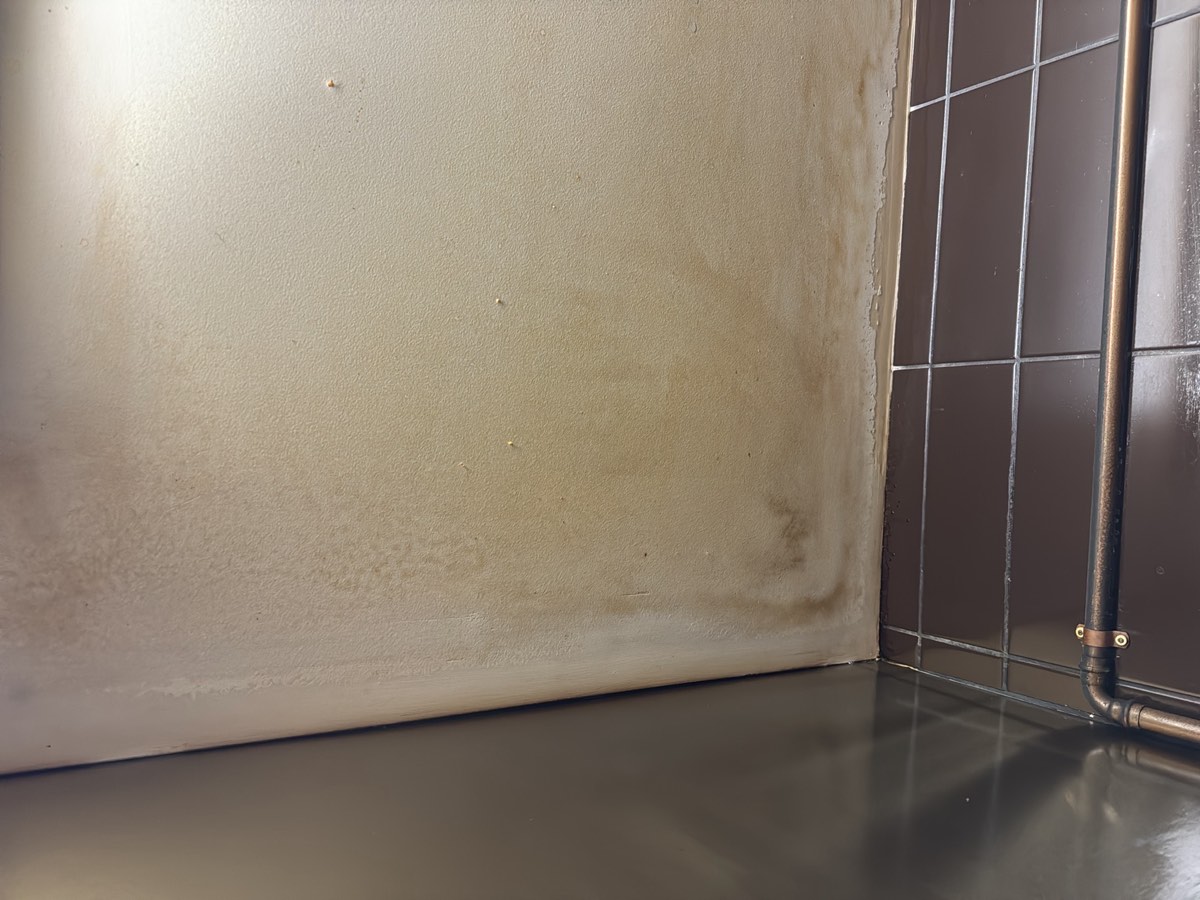 Staining, and what it is telling you, Schofields