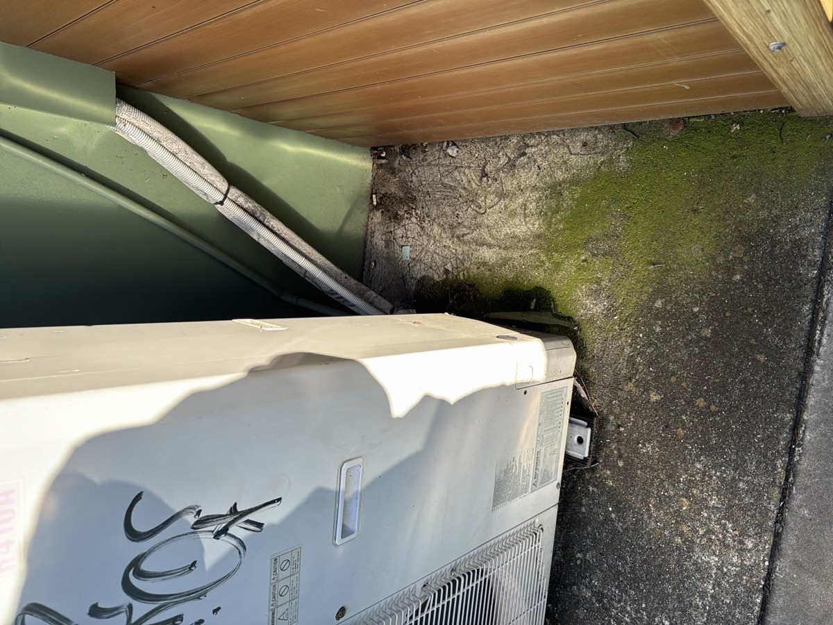 Leaking, recorded during a pre-purchase inspection in Schofields